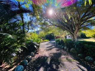 VENTA DE FINCA DE 31,95 HECTÁREAS EN OROSI, PARAÍSO, CARTAGO en Orosi, Paraíso, Cartago — $2,500,000 - Foto 4 de 19