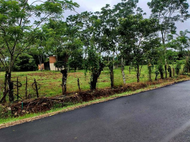 🌿 LOTE DE 2.209 m² EN VENTA | MUELLE DE LA PALMERA, SAN CARLOS en La Palmera, San Carlos, Alajuela — ₡ 40 000 000
