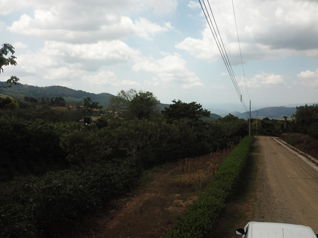 Lotes en venta en San Ramón, con vistas al Océano, clima fresco in Santiago, San Ramón, Alajuela — $80,000 - Photo 5 of 8