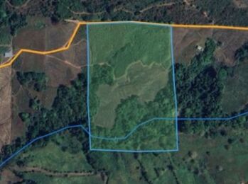 SE VENDE FINCA DE TIERRA FERTIL EN GENERAL VIEJO,PÉREZ Z. en San Isidro De El General, Pérez Zeledón, San José — $340,000 - Foto 4 de 15