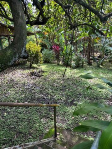 Venta de propiedad en Nosara  in Nosara, Nicoya, Guanacaste — ₡ 250 000 000