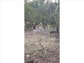 VENTA DE LOTE, ALAJUELA, OROTINA, COYOLAR en Coyolar, Orotina, Alajuela — 185 000 000 ₡ - Foto 5 de 14
