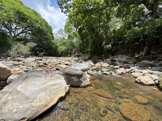 VENTA DE LOTE DE 39.776,03 M², USO PARA DESARROLLO, OROTINA, ALAJUELA in Orotina, Alajuela — $750,000