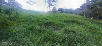 ¿Ha soñado alguna vez con vivir rodeado de naturaleza, con un río que acaricia en su propiedad? en Aguabuena, Coto Brus, Puntarenas — 15 500 000 ₡ - Foto 4 de 18