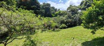 Se vende amplia quinta de 8,200m2 en Concepcion Heredia 25-1665 en Concepción, San Rafael, Heredia — $689,000 - Foto 4 de 22