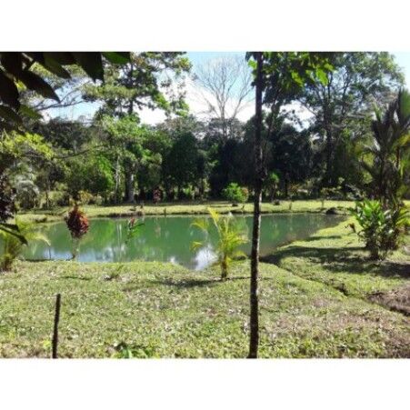 VENTA DE FINCA, USO MIXTO, ALAJUELA, SAN CARLOS, LA TIGRA   en La Tigra, San Carlos, Alajuela — ₡ 160 000 000