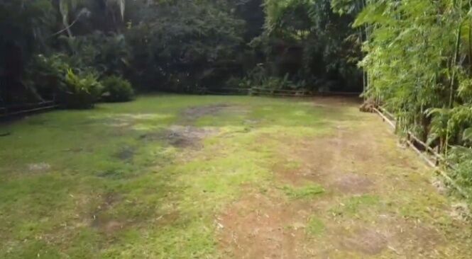 BELLÍSIMA PROPIEDAD EN ESTERILLOS ESTE, PUNTARENAS.  en Parrita, Puntarenas — $155,000