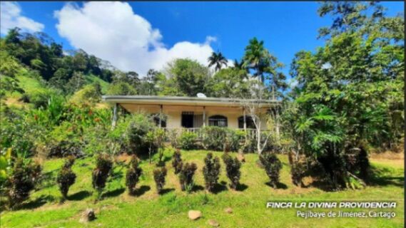 🌿 ¡Paraíso Natural en Pejibaye! Finca Espectacular con casa y vistas únicas. in Pejibaye, Jiménez, Cartago — ₡ 125 000 000