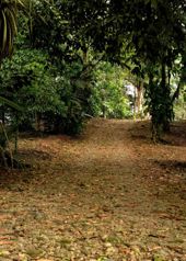 Venta de quinta en Horquetas de Sarapiquí en Las Horquetas, Sarapiquí, Heredia — ₡ 70 000 000 - Foto 2 de 21
