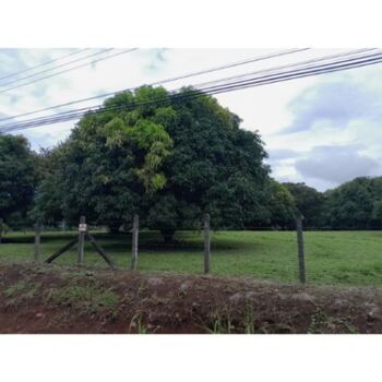 Lote en Venta La Ceiba, Orotina, Alajuela