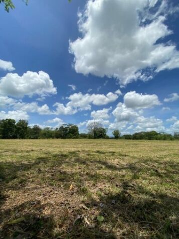 Venta de Lote en Upala-Delicias, Alajuela. RAH 26-963 en Delicias, Upala, Alajuela — $344,830