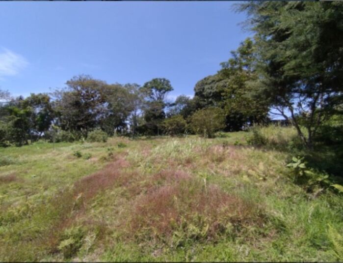 LOTE EN SAN ISIDRO DE HEREDIA en San Francisco, San Isidro, Heredia — ₡ 300 000 000