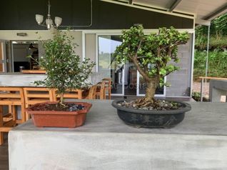 Venta de Quinta AMUEBLADA en Dota-Jardín. RAH 27-444 en Jardín, Dota, San José — $589,000 - Foto 3 de 12