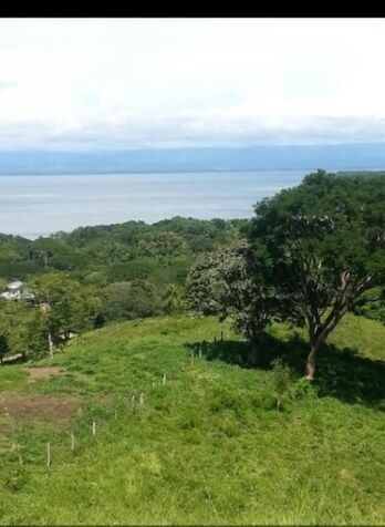 OPORTUNIDAD ÚNICA FINCA EN PLAYA NARANJO, PUNTARENAS.  in Lepanto, Puntarenas — $1,500,000