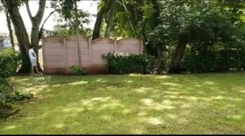 MLS-25-631 VENTA LOTE LA CEIBA OROTINA  en La Ceiba, Orotina, Alajuela — 25 000 000 ₡ - Foto 5 de 7