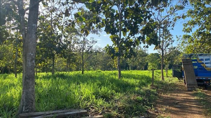 ESPECTACULAR FINCA EN LOS CHILES, ALAJUELA. in Caño Negro, Los Chiles, Alajuela — ₡ 70 000 000