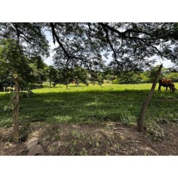 Land For Sale Turrúcares, Alajuela, Alajuela