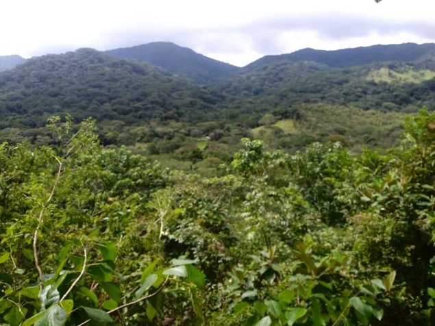 Venta Fincas en Hojancha Guanacaste en Hojancha, Guanacaste — $12,000,000