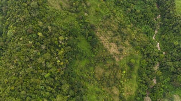 “Rosa Saint Paradise” — Una Oportunidad Única en la Vida in Bahía Ballena, Osa, Puntarenas — $555,000