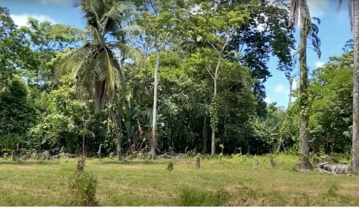 Venta de terreno en Westfalia, Limón en Matama, Limón — $2,000,000 - Foto 3 de 63