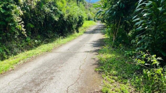 Venta de hermoso terreno de 7,000 M2 en Atenas Alajuela 25-1310 en Concepción, Atenas, Alajuela — ₡ 70 000 000