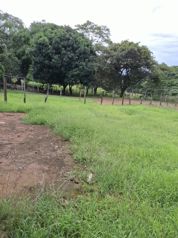 Oportunidad de venta terreno en Artieda de Esparza, Puntarenas en Espíritu Santo, Esparza, Puntarenas — 44 000 000 ₡ - Foto 5 de 8