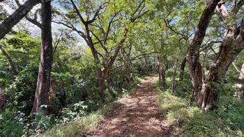 Venta terreno con vista al mar y montaña, Santa Cruz, Guanacaste. (FE) in Cuajiniquil, Santa Cruz, Guanacaste — $175,000 - Photo 5 of 9