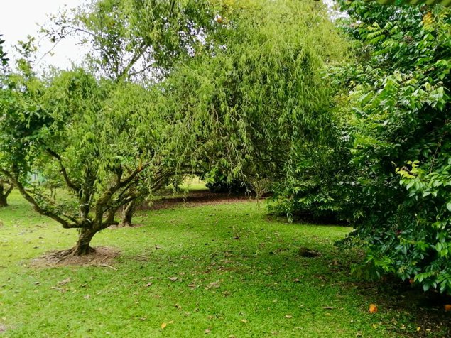 CASA EN VENTA LA UNIÓN GUÁPILES LIMÓN en Guápiles, Pococí, Limón — ₡ 57 000 000 - Foto 3 de 10