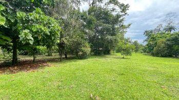 Excelente  Lote en Venta en Pococí, Limôn.  RAH 25-1816 en Guápiles, Pococí, Limón — $79,000 - Foto 4 de 6