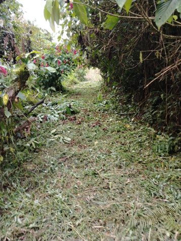 Finca en Venta en Sarapiquí – 10 Hectáreas con Acceso a Calle Pública en La Virgen, Sarapiquí, Heredia — $290,000 - Foto 3 de 29