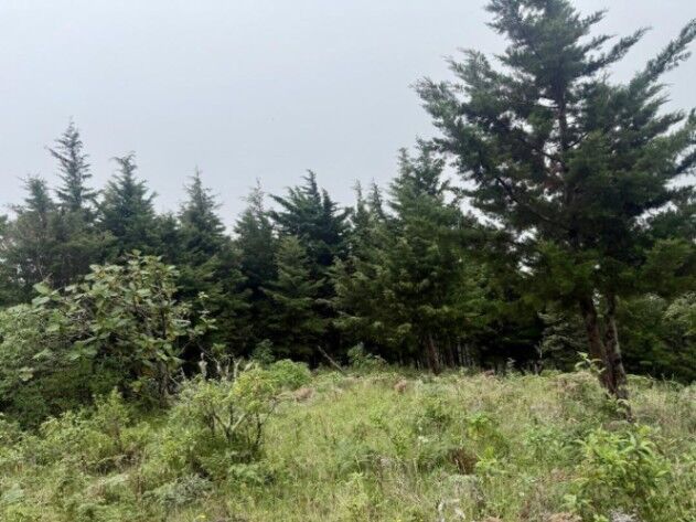 Venta de Lote en Santa Bárbara, Heredia. RAH 26-540 in Santo Domingo, Santa Bárbara, Heredia — ₡ 45 000 000