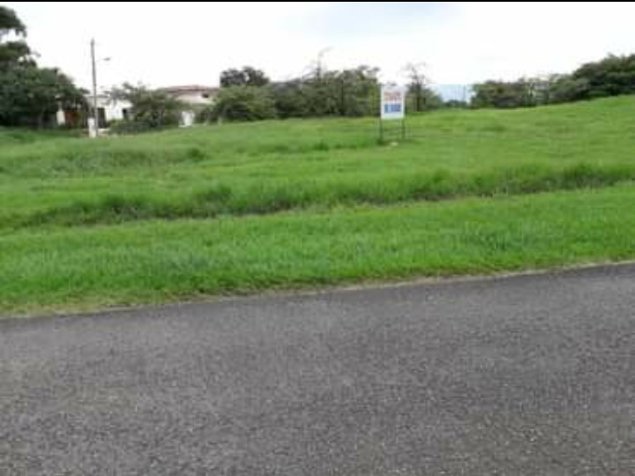 Venta de Lote Hacienda Los Reyes COD RG 1290 in Guácima, Alajuela — $179,800 - Photo 3 of 5