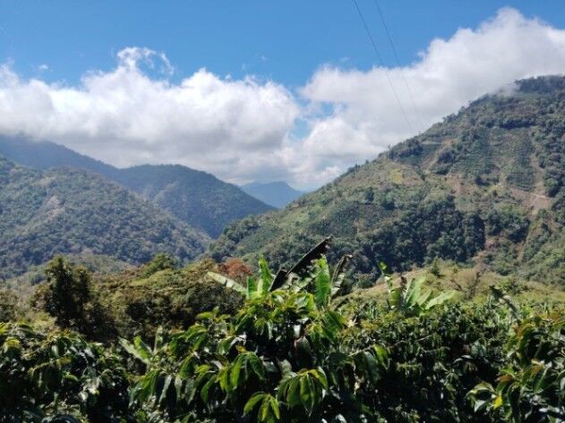 Venta Quinta en Providencia de Dota in Copey, Dota, San José — $147,000