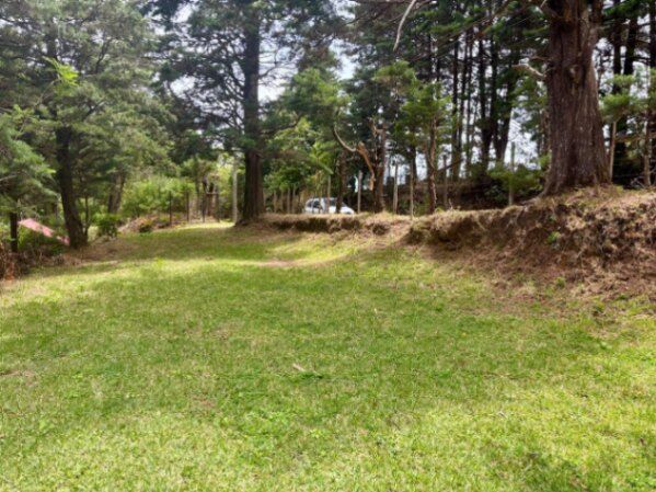 Venta hermosa propiedad San Juan Norte, Poás, Alajuela en San Juan, Poás, Alajuela — ₡ 80 000 000