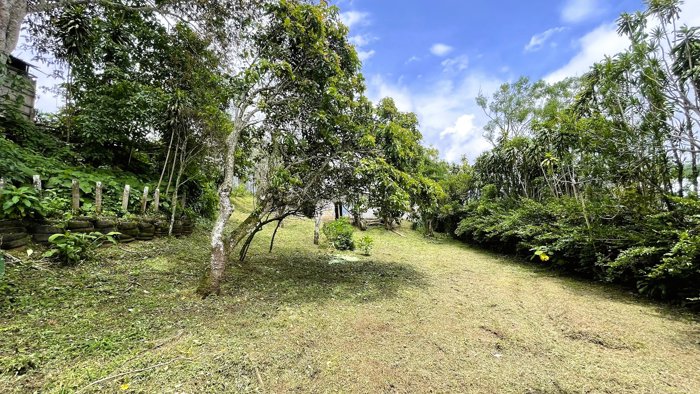 SE VENDE TERRENO CON CASA EN SAN ISIDRO, SAN RAMÓN en San Isidro, San Ramón, Alajuela — $165,000 - Foto 2 de 14