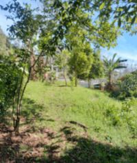 Hermoso Lote en Venta (Palmares) in Zaragoza, Palmares, Alajuela — 35 000 000 ₡ - Photo 4 of 5