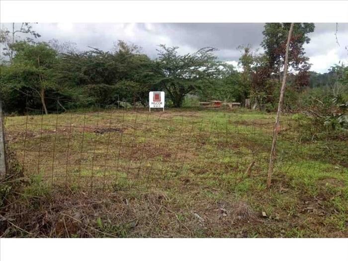 VENTA DE LOTE, ALAJUELA, UPALA en Upala, Alajuela — ₡ 6 045 000