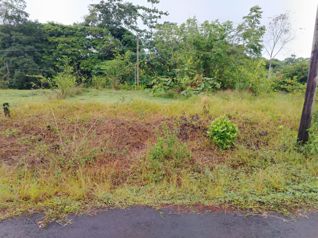Lotes en Venta en San Ramón, Residencial Don Juan, Chachagua en Peñas Blancas, San Ramón, Alajuela — $20,000 - Foto 5 de 28