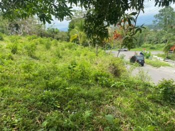 Se vende Lote 4441 m2 - San Isidro - Peñas Blancas -Financiamiento disponible en Peñas Blancas, San Ramón, Alajuela — 40 000 000 ₡ - Foto 5 de 12