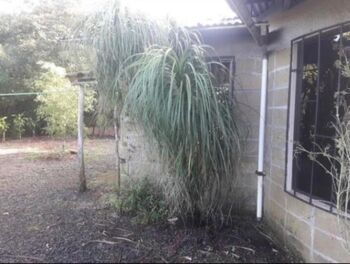 LOTE EN VENTA EN ALAJUELA in Santiago, San Ramón, Alajuela — $300,000 - Photo 4 of 12
