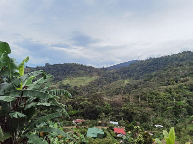  terreno  con 2 terrazas, son 1740 metros  en Tayutic, Turrialba, Cartago — ₡ 14 000 000