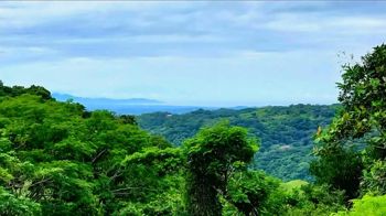 Finca ganadera de 33 ha en venta en San Ramón, Alajuela