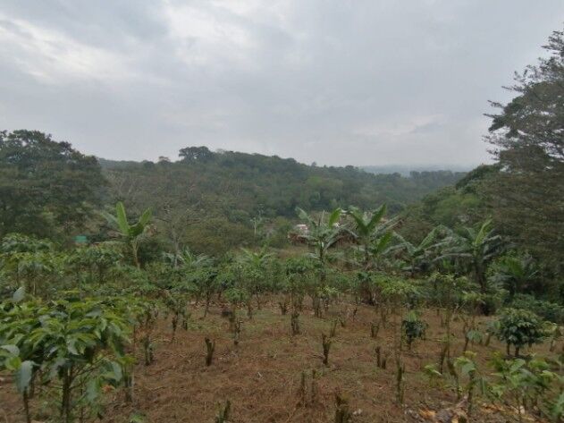 TERRENO EN NARANJO  en Naranjo, Alajuela — ₡ 65