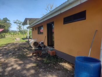 VENTA DE FINCA CON CASA, HEREDIA, SARAPIQUÍ, PUERTO VIEJO - 9929328 en Puerto Viejo, Sarapiquí, Heredia — 145 000 000 ₡ - Foto 4 de 12