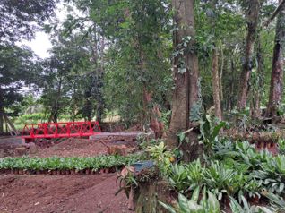 Quinta con Negocio de Vivero en Sarapiquí in Las Horquetas, Sarapiquí, Heredia — $195,000 - Photo 4 of 17