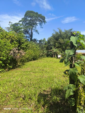 Lote en venta en San Ramon, cerca de la Fortuna, plano en Peñas Blancas, San Ramón, Alajuela — $20,000 - Foto 3 de 30