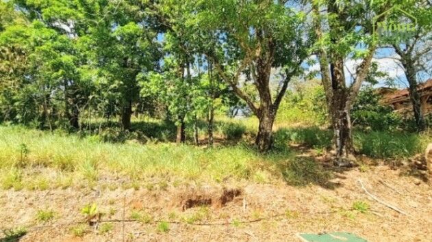BEAUTIFUL LOT FOR SALE IN THE HEART OF ALEGRIA VILLAGE  en San Mateo, Alajuela — $115,000