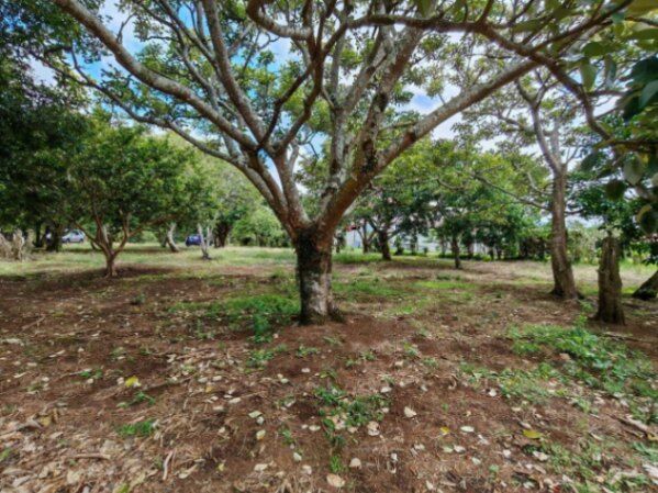 Venta de Lote en San Rafael de Heredia. RAH 25-1922 in Concepción, San Rafael, Heredia — ₡ 175 000 000