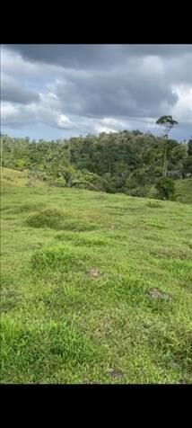 SE VENDE PRECIOSA Y ÚTIL FINCA EN SIQUIRRES.  in Pacuarito, Siquirres, Limón — $775,000