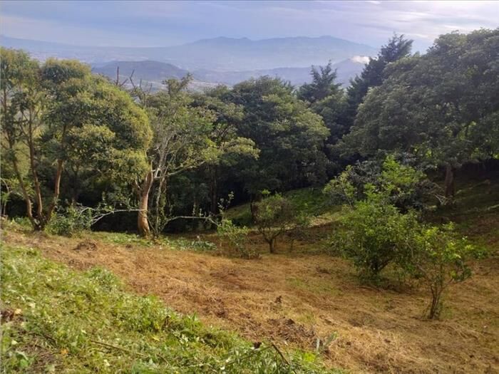 VENTA DE QUINTA, SAN JOSÈ, DESAMPARADOS, JERICO en Desamparados, San José — ₡ 32 000 000